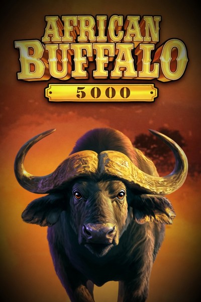 Couverture d'African Buffalo 5000 dans le casino Betrepublic